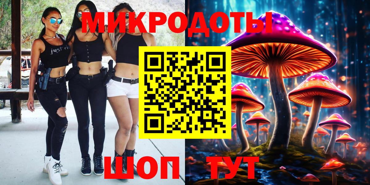 Галлюциногенные грибы Psilocybe  Вход с VPN  Солнечногорск 